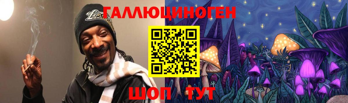 Псилоцибиновые грибы GOLDEN TEACHER  Вход с VPN  Избербаш 