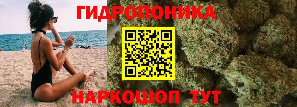 Конопля Amnesia  Вход с VPN  Каннабис планчик  Избербаш  Бошки марихуана VHQ 